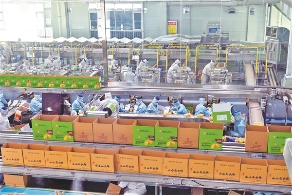 山西海玉园（晋中国家农高区）食品产业园有序生产 引领食品销售新趋势