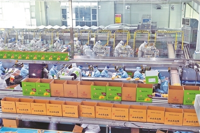 山西海玉园食品产业园有序生产，助力食品销售稳步增长