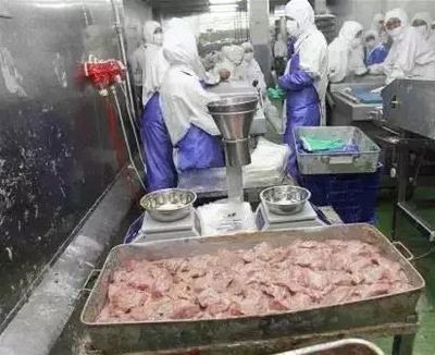 上海法院食品安全典型案例获国新办新闻发布会肯定